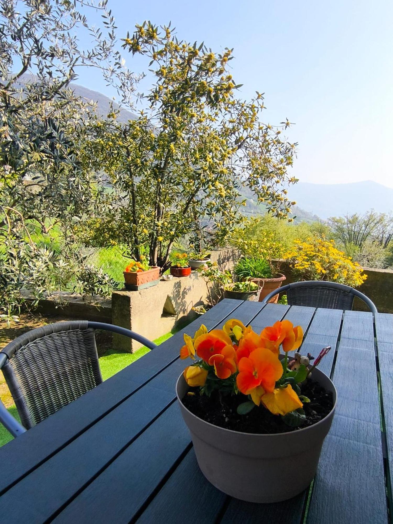 Casadolcelago Marone Villa Con Giardino Vista Lago Private Parking Exterior foto